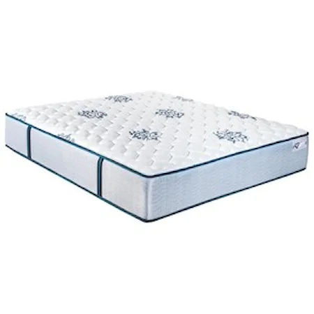 Queen Firm Pocketed Coil Mattress and Prodigy Lumbar Adjustable Base
